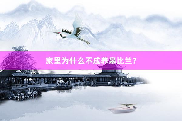 家里为什么不成养皋比兰？
