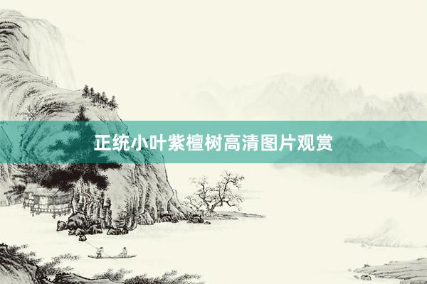 正统小叶紫檀树高清图片观赏