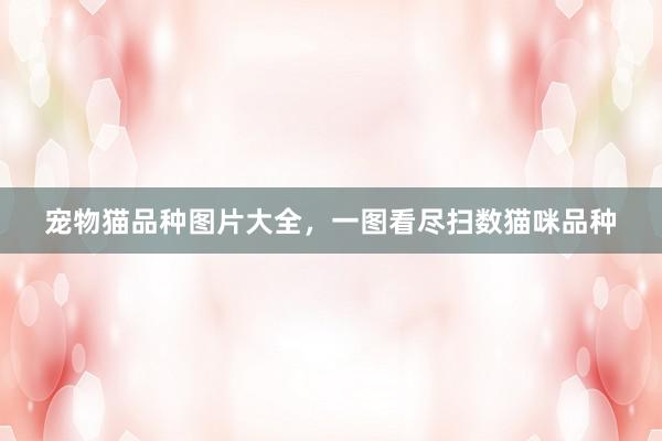宠物猫品种图片大全，一图看尽扫数猫咪品种